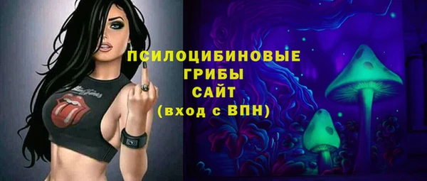 мдпв Армянск