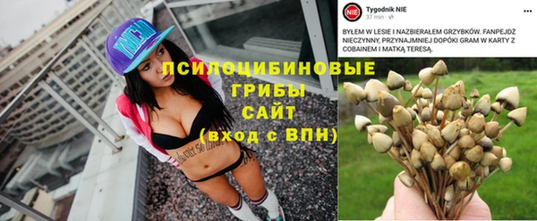 шишки Пересвет